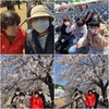 천안 북면 벚꽃축제 다녀왔어요~