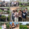이용인 욕구를 반영한 제주도 등산!!
