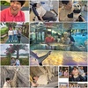 또 하나의 가족:누가 뭐래도 오늘은 우리가 가족입니다~~